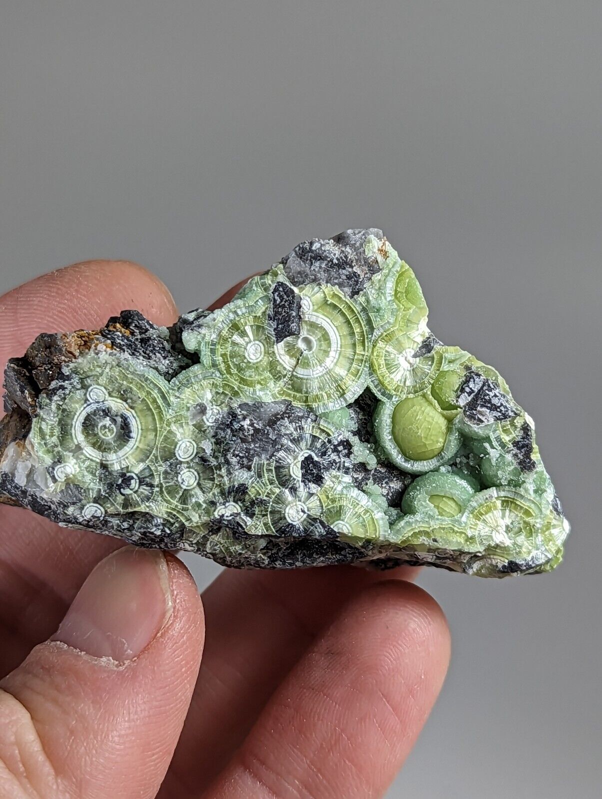 Amazing Wavellite - Fantastic 1990s Old Stock - Mauldin Mountain Arkansas - Collectibles:Rocks Fossils &