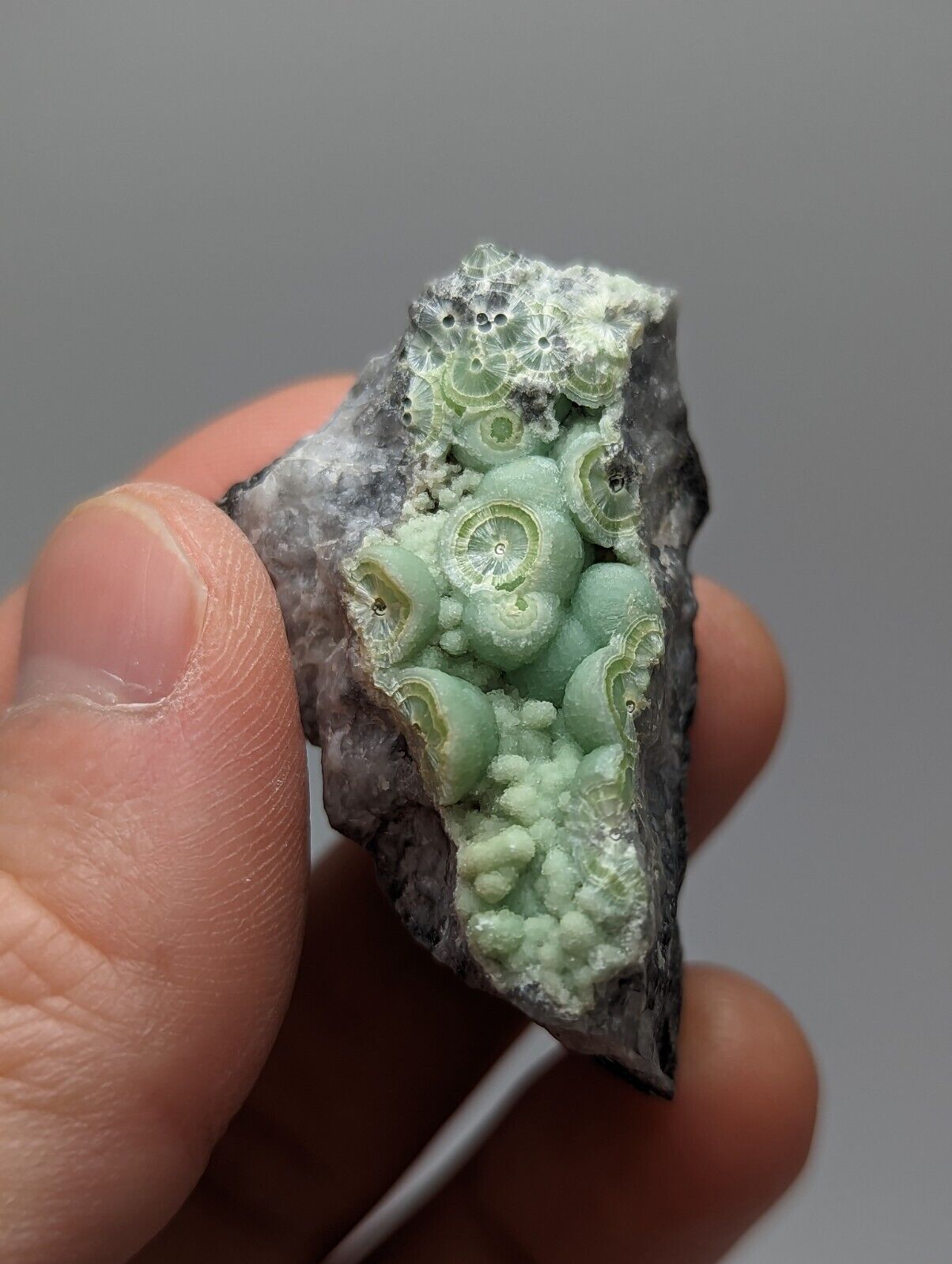 Amazing Wavellite - Fantastic 1990s Old Stock - Mauldin Mountain Arkansas - Collectibles:Rocks Fossils &