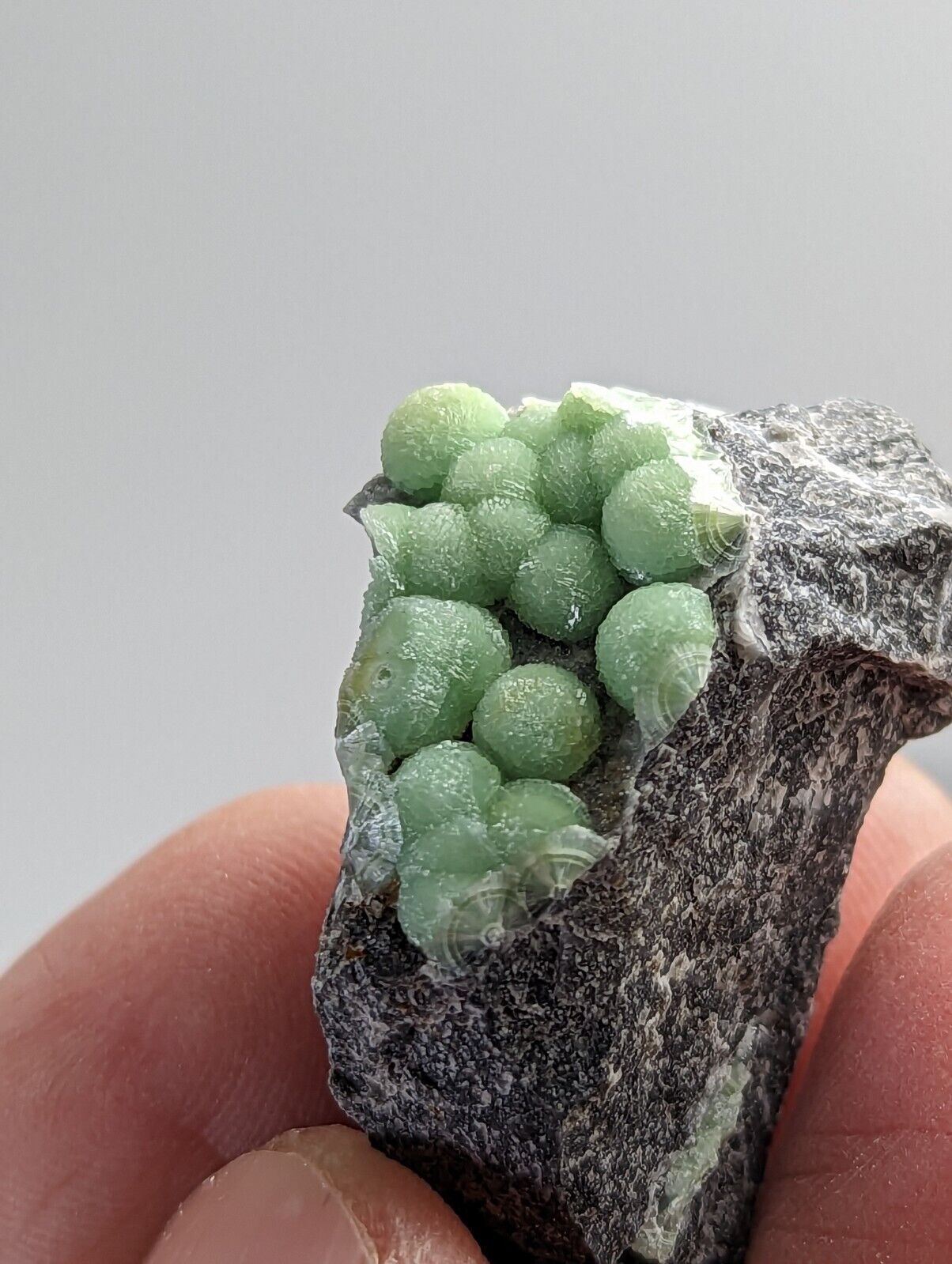 Amazing Wavellite - Fantastic 1990s Old Stock - Mauldin Mountain Arkansas - Collectibles:Rocks Fossils &
