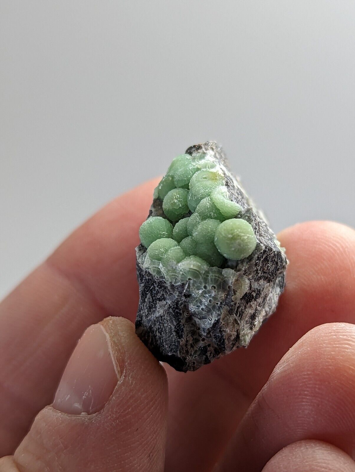 Amazing Wavellite - Fantastic 1990s Old Stock - Mauldin Mountain Arkansas - Collectibles:Rocks Fossils &