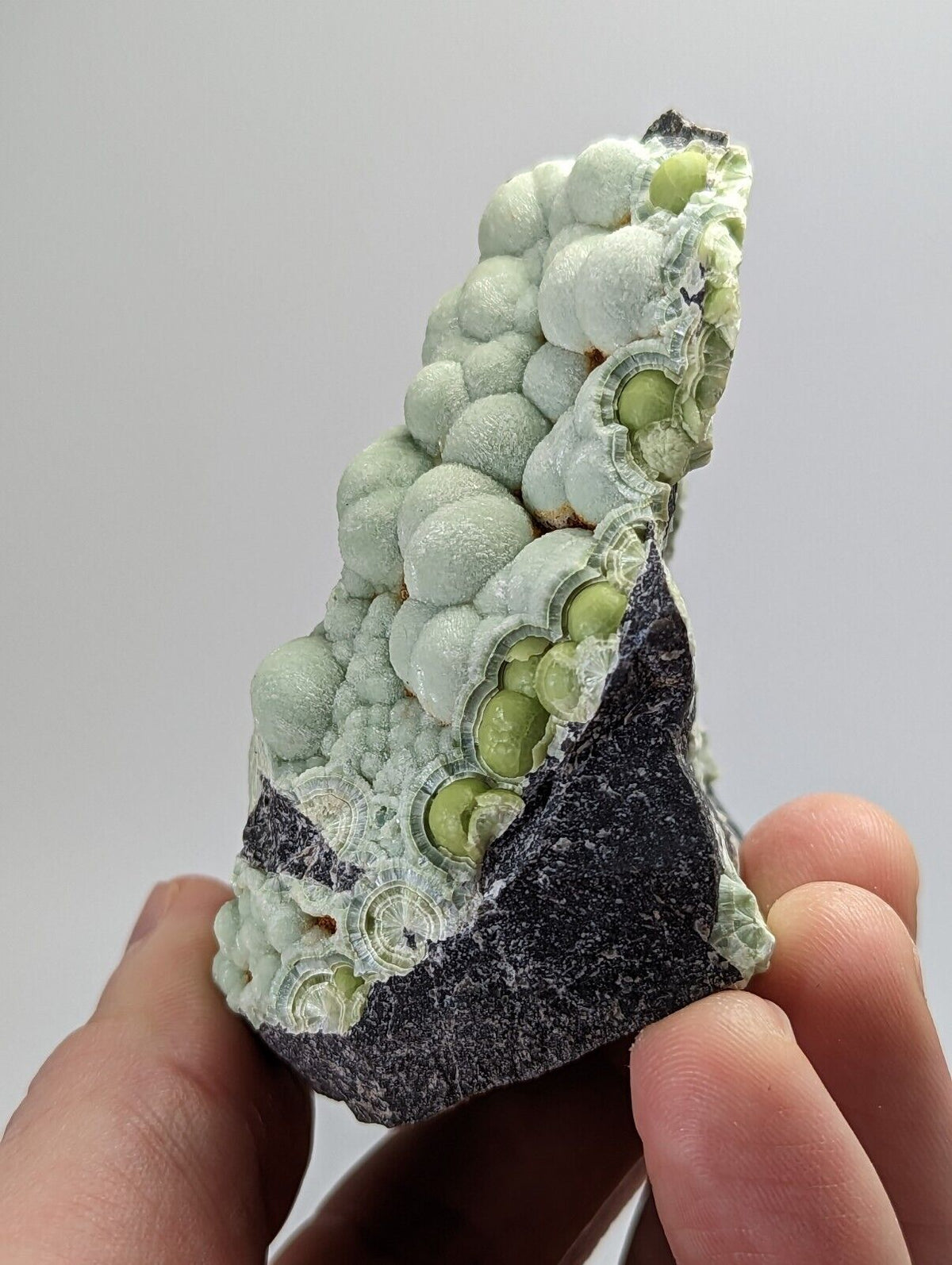 Amazing Wavellite - Fantastic 1990s Old Stock - Mauldin Mountain Arkansas Rare - Collectibles:Rocks Fossils &