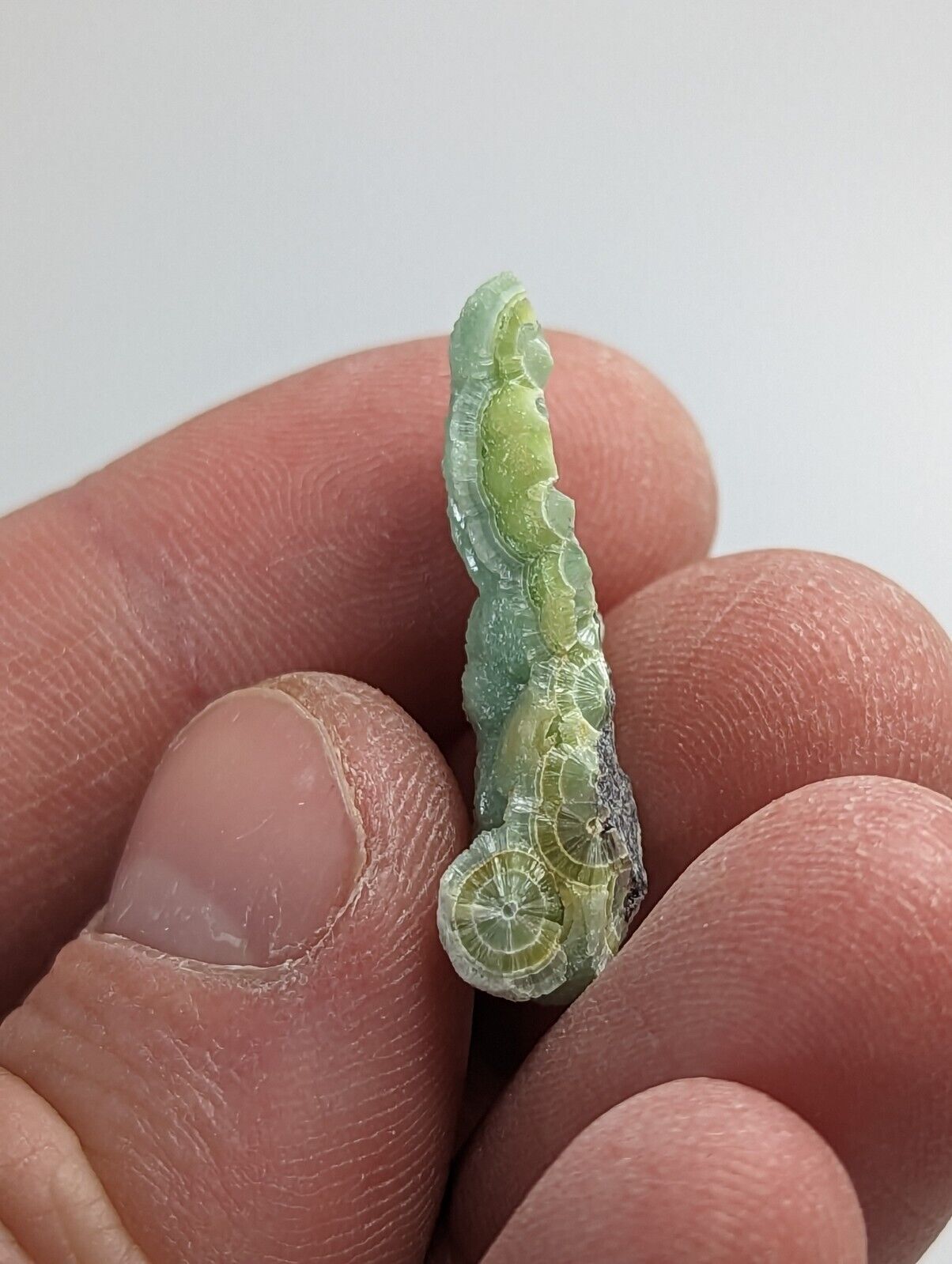 Amazing Wavellite - Fantastic 1990s Old Stock - Mauldin Mountain Arkansas - Collectibles:Rocks Fossils &