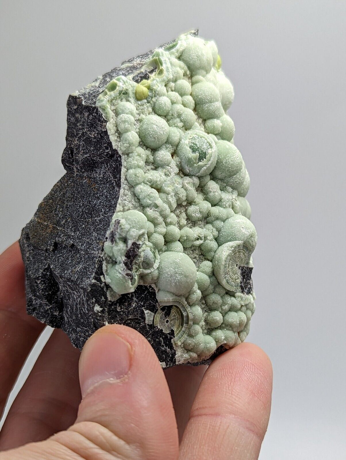 Amazing Wavellite - Fantastic 1990s Old Stock - Mauldin Mountain Arkansas Rare - Collectibles:Rocks Fossils &