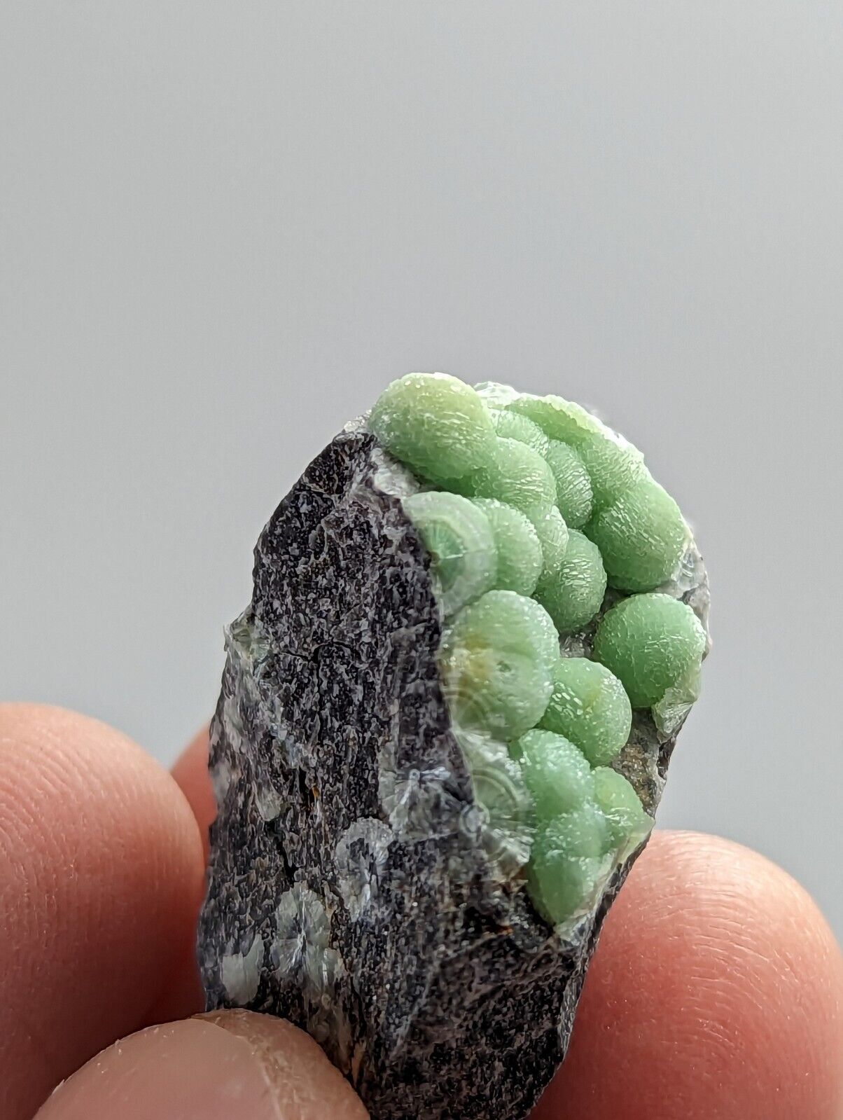 Amazing Wavellite - Fantastic 1990s Old Stock - Mauldin Mountain Arkansas - Collectibles:Rocks Fossils &