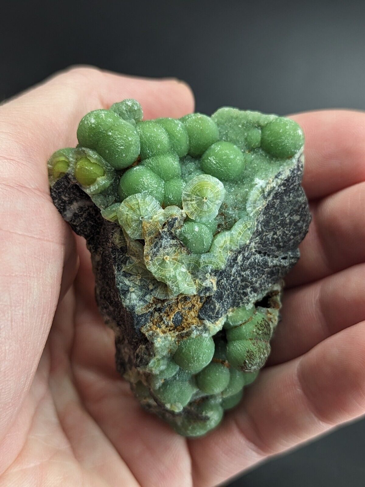 Amazing Wavellite - Fantastic Old Stock - Mauldin Mountain Arkansas A + Color - Collectibles:Rocks Fossils &