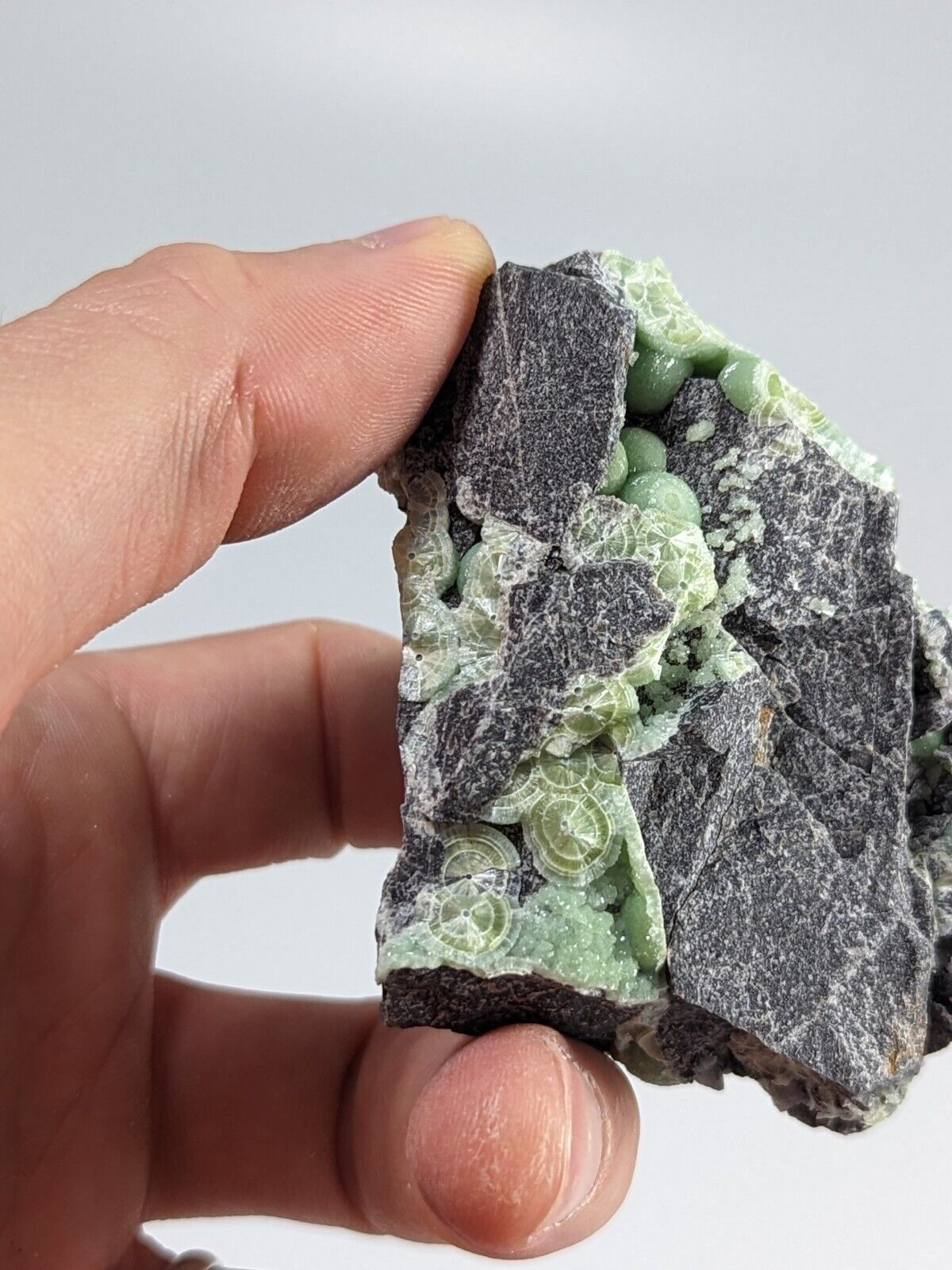 Amazing Wavellite - Fantastic Old Stock - Mauldin Mountain Arkansas Unique!!! - Collectibles:Rocks Fossils &