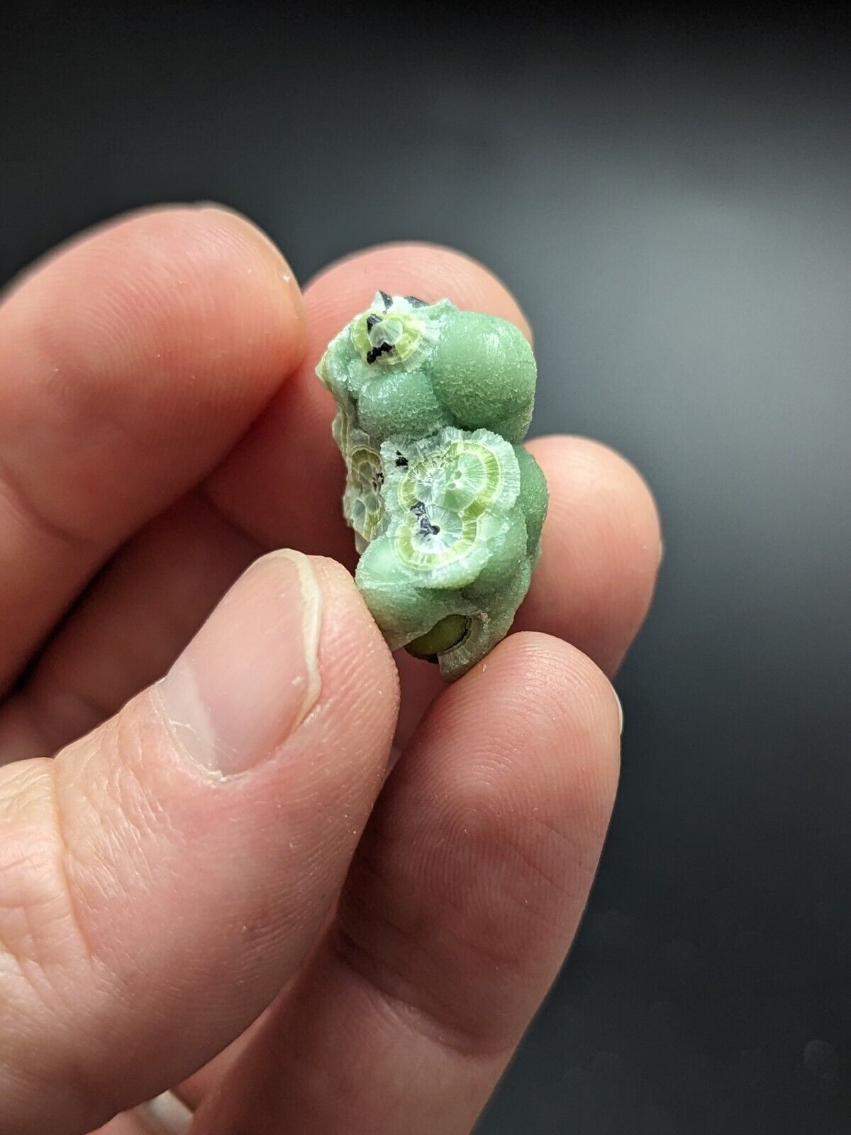 Amazing Wavellite - Fantastic Old Stock - Mauldin Mountain Arkansas ooak - Collectibles:Rocks Fossils &
