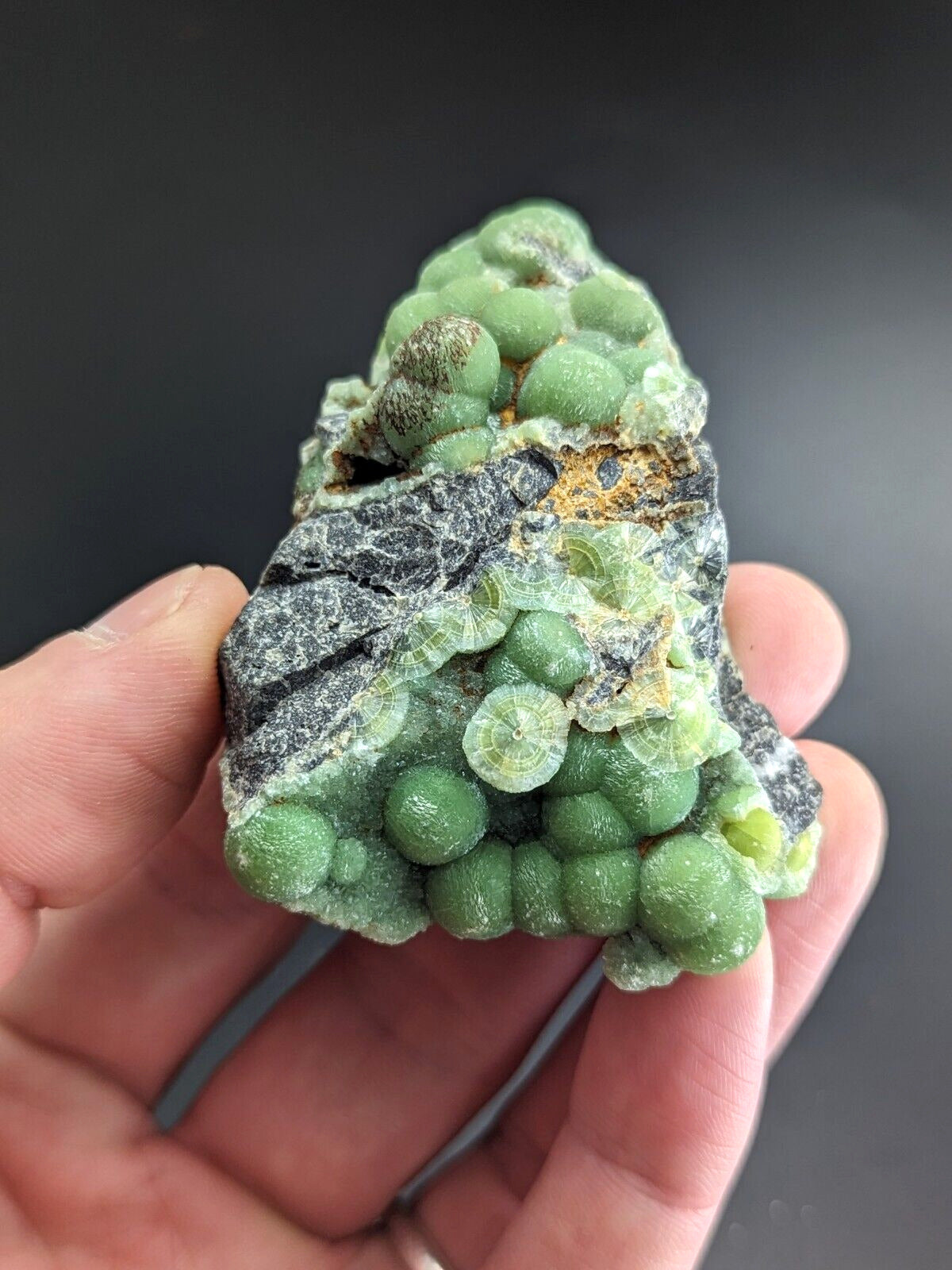Amazing Wavellite - Fantastic Old Stock - Mauldin Mountain Arkansas A + Color - Collectibles:Rocks Fossils &