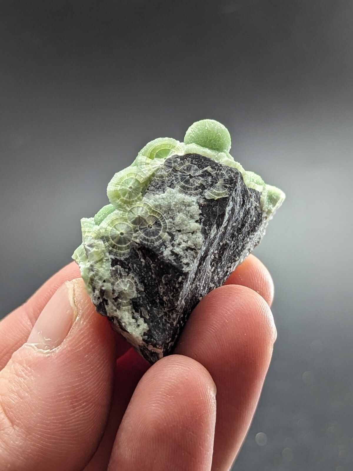 Amazing Wavellite - Fantastic Old Stock - Mauldin Mountain Arkansas ooak - Collectibles:Rocks Fossils &