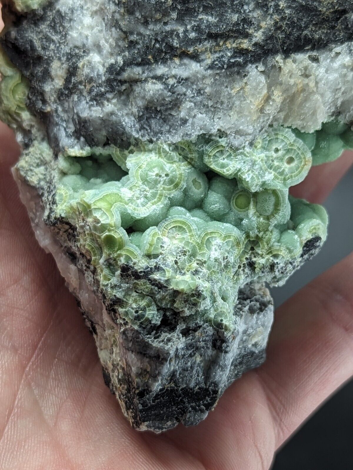 Amazing Wavellite - Fantastic Old Stock - Mauldin Mountain Arkansas ooak - Collectibles:Rocks Fossils &
