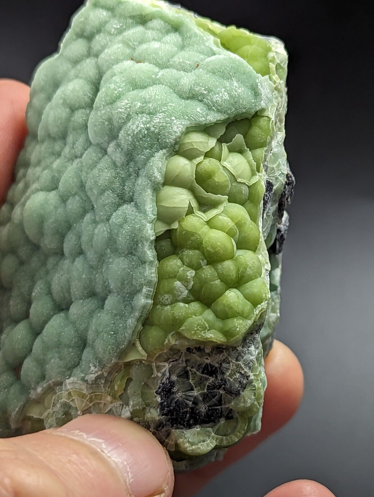 Amazing Wavellite - Fantastic Old Stock - Mauldin Mountain Arkansas A + Rare - Collectibles:Rocks Fossils &
