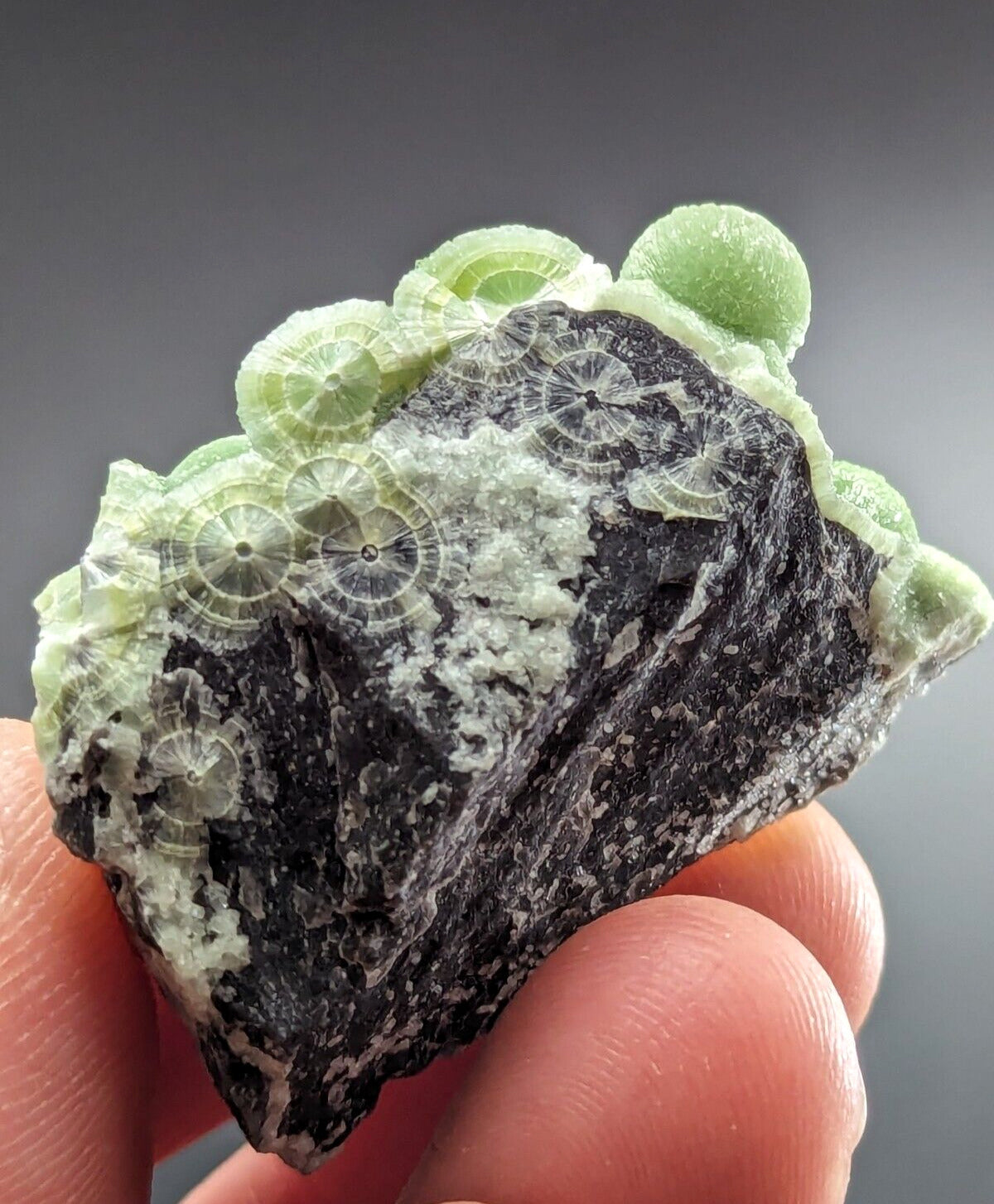Amazing Wavellite - Fantastic Old Stock - Mauldin Mountain Arkansas ooak - Collectibles:Rocks Fossils &