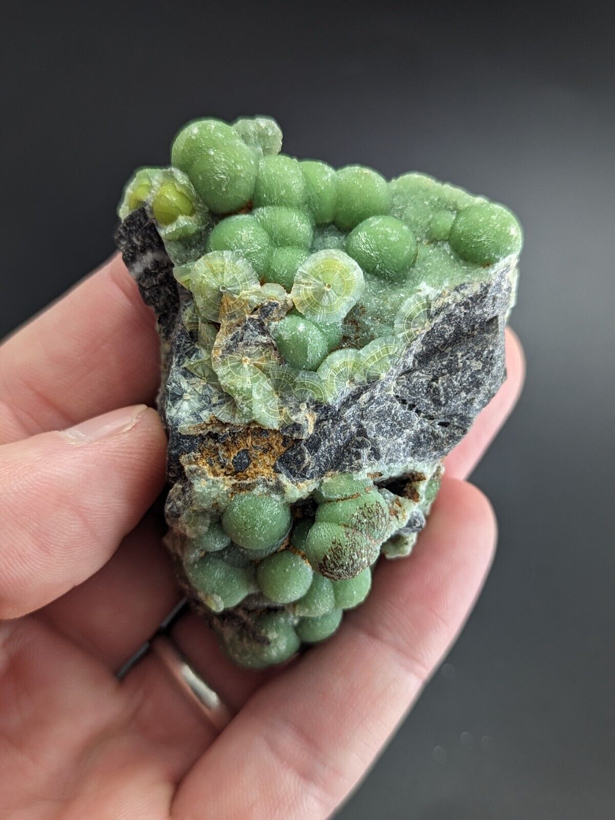 Amazing Wavellite - Fantastic Old Stock - Mauldin Mountain Arkansas A + Color - Collectibles:Rocks Fossils &
