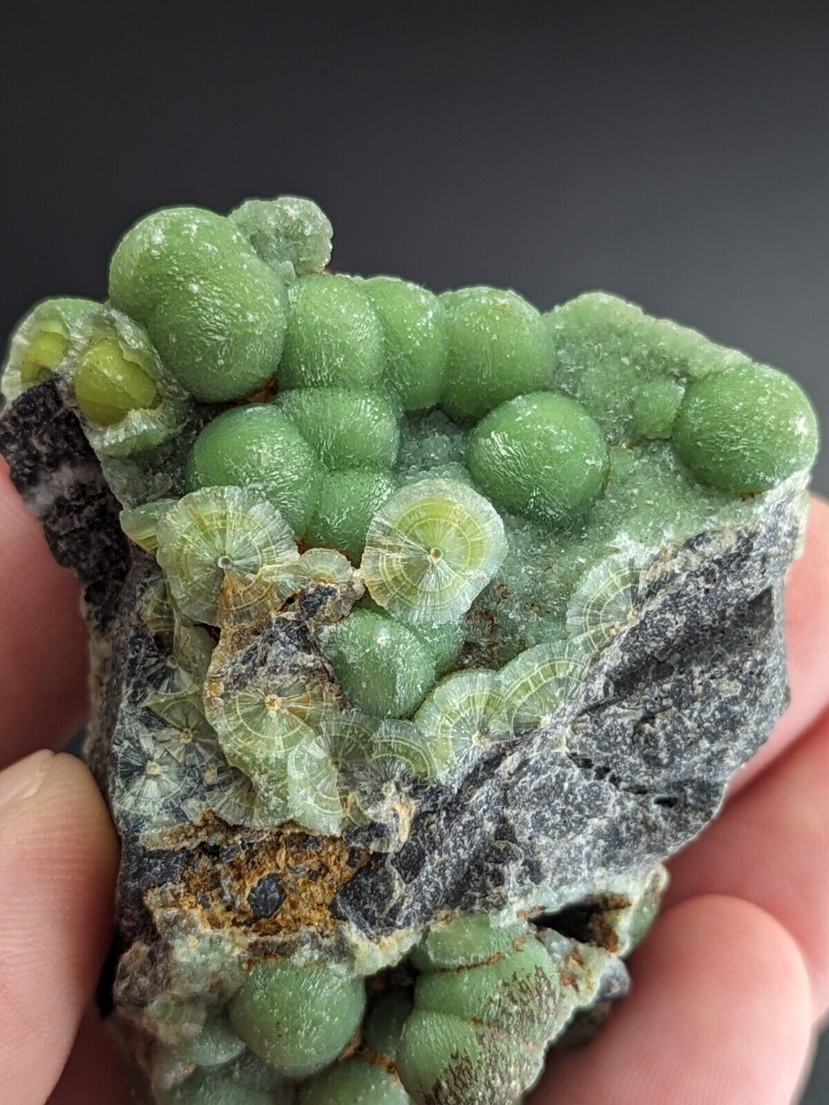 Amazing Wavellite - Fantastic Old Stock - Mauldin Mountain Arkansas A + Color - Collectibles:Rocks Fossils &