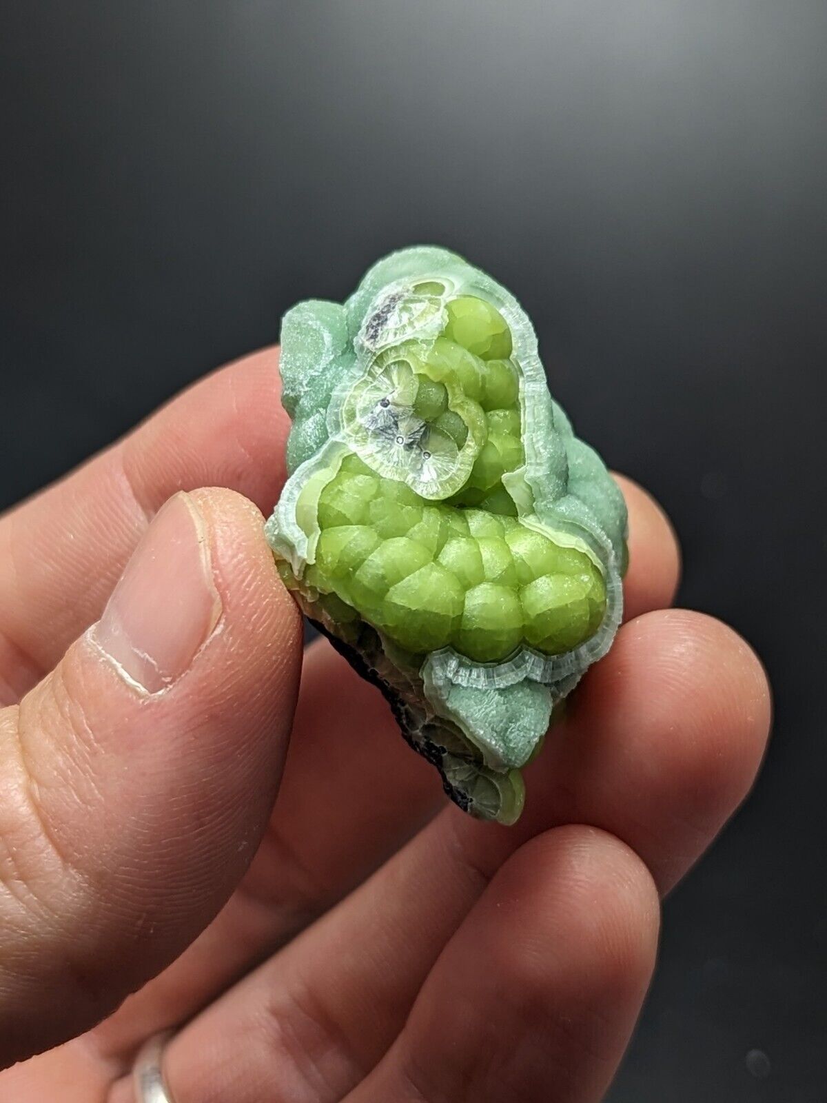 Amazing Wavellite - Fantastic Old Stock - Mauldin Mountain Arkansas ooak - Collectibles:Rocks Fossils &