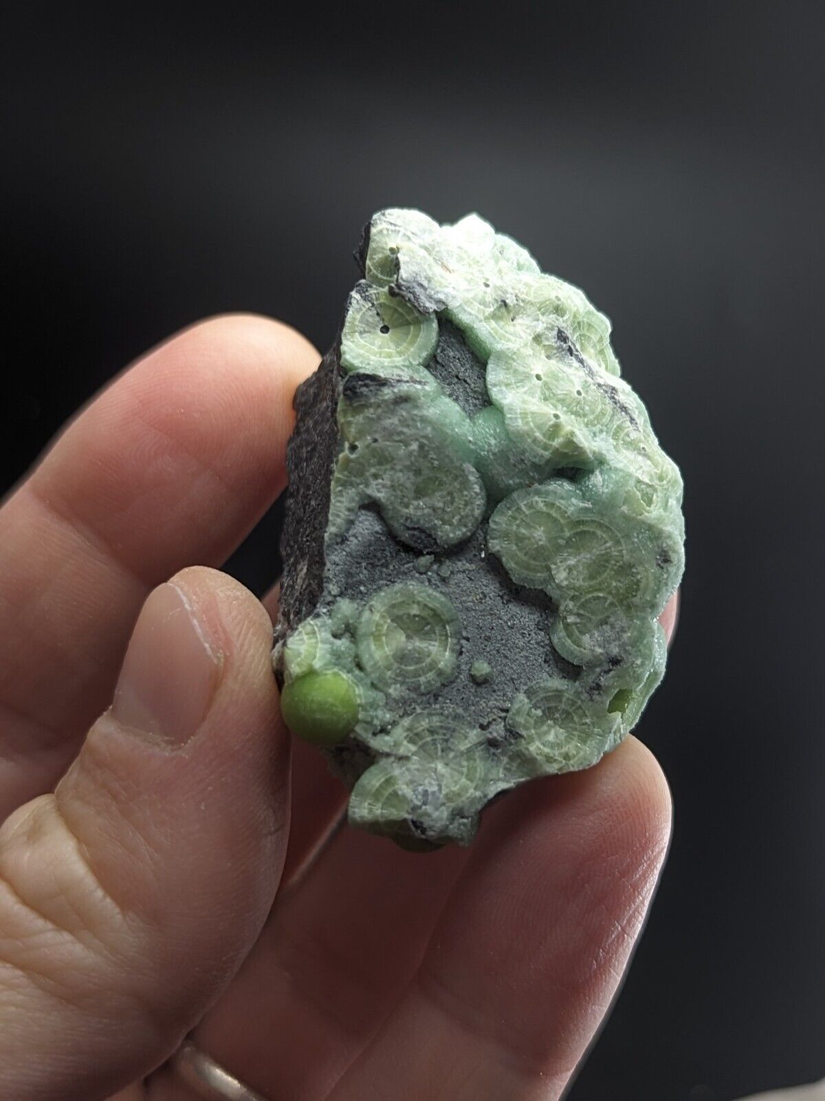 Amazing Wavellite - Fantastic Old Stock - Mauldin Mountain Arkansas ooak - Collectibles:Rocks Fossils &