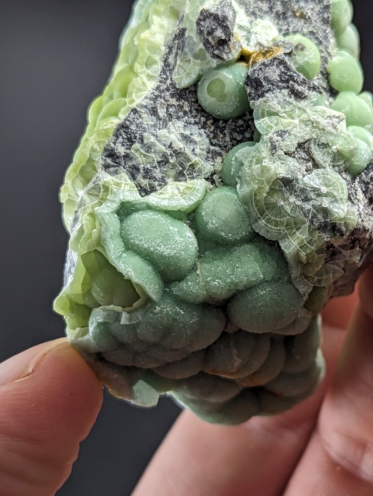 Amazing Wavellite - Fantastic Old Stock - Mauldin Mountain Arkansas A + Rare - Collectibles:Rocks Fossils &