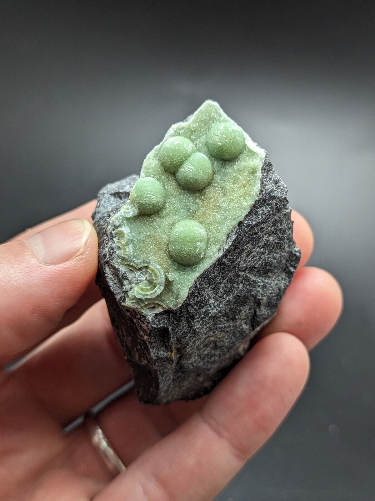 Amazing Wavellite - Fantastic Old Stock - Mauldin Mountain Arkansas ooak - Collectibles:Rocks Fossils &