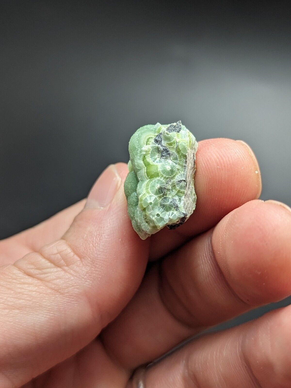 Amazing Wavellite - Fantastic Old Stock - Mauldin Mountain Arkansas ooak - Collectibles:Rocks Fossils &