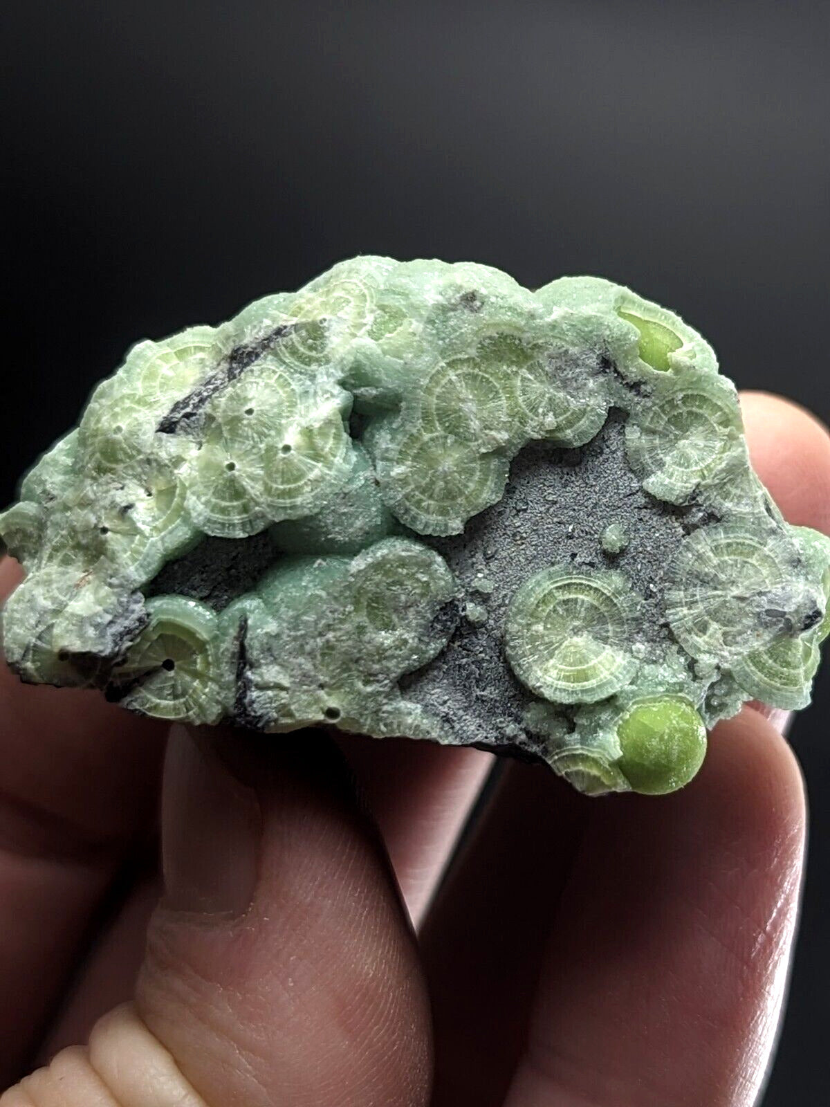 Amazing Wavellite - Fantastic Old Stock - Mauldin Mountain Arkansas ooak - Collectibles:Rocks Fossils &