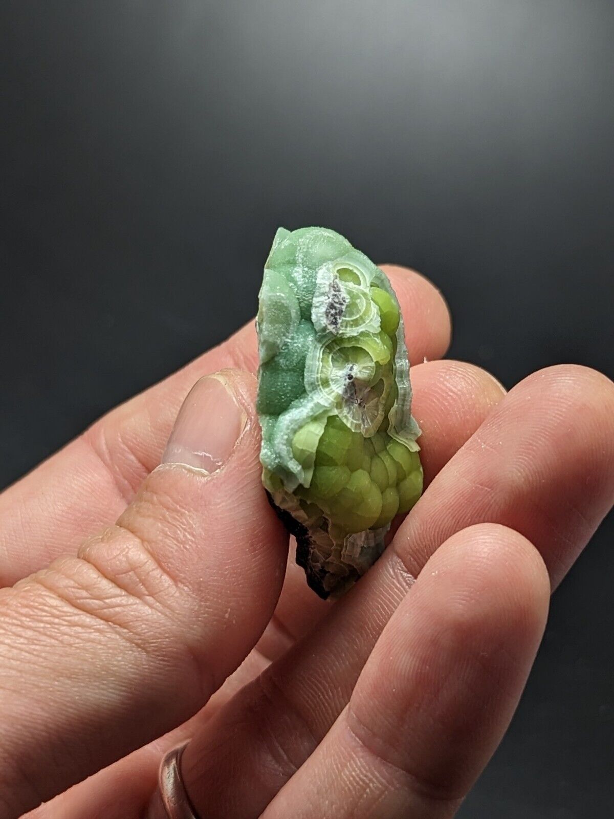 Amazing Wavellite - Fantastic Old Stock - Mauldin Mountain Arkansas ooak - Collectibles:Rocks Fossils &