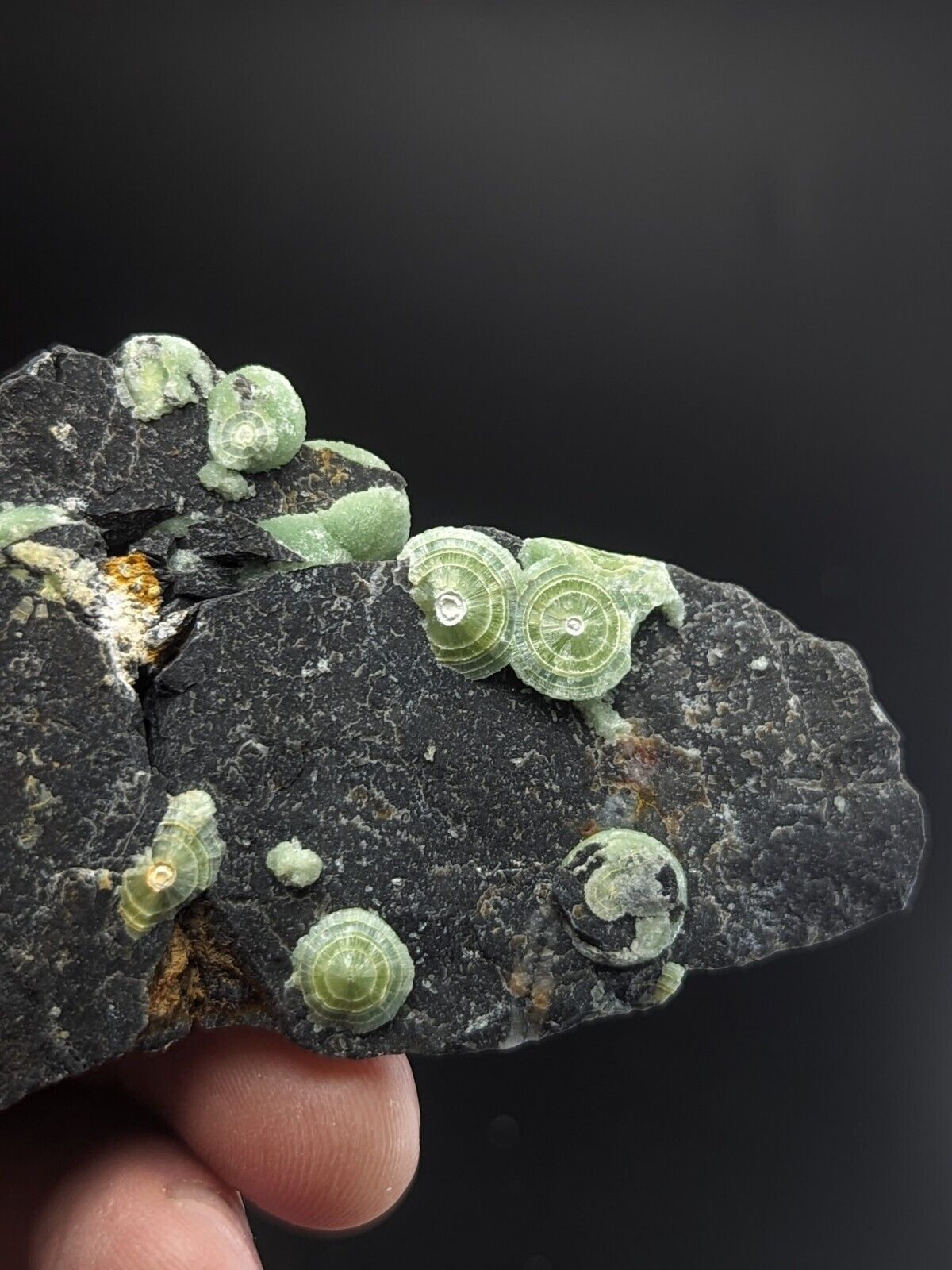Amazing Wavellite - Fantastic Old Stock - Mauldin Mountain Arkansas ooak - Collectibles:Rocks Fossils &