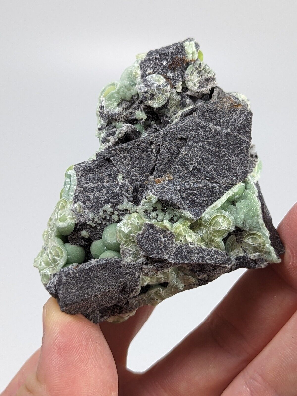 Amazing Wavellite - Fantastic Old Stock - Mauldin Mountain Arkansas Unique!!! - Collectibles:Rocks Fossils &