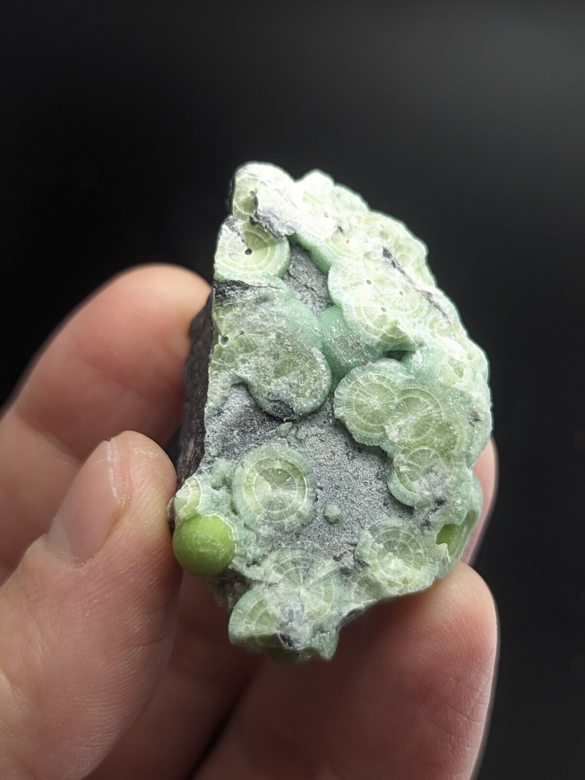 Amazing Wavellite - Fantastic Old Stock - Mauldin Mountain Arkansas ooak - Collectibles:Rocks Fossils &