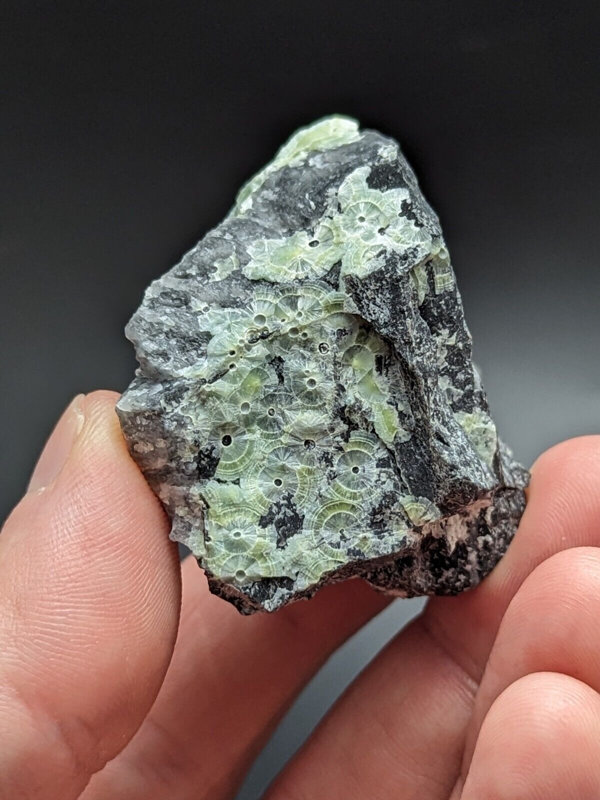 Amazing Wavellite - Fantastic Old Stock - Mauldin Mountain Arkansas ooak - Collectibles:Rocks Fossils &