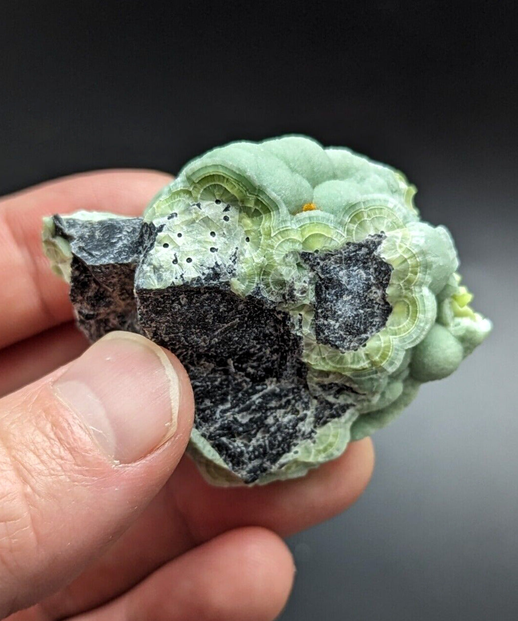 Amazing Wavellite - Fantastic Old Stock - Mauldin Mountain Arkansas ooak - Collectibles:Rocks Fossils &