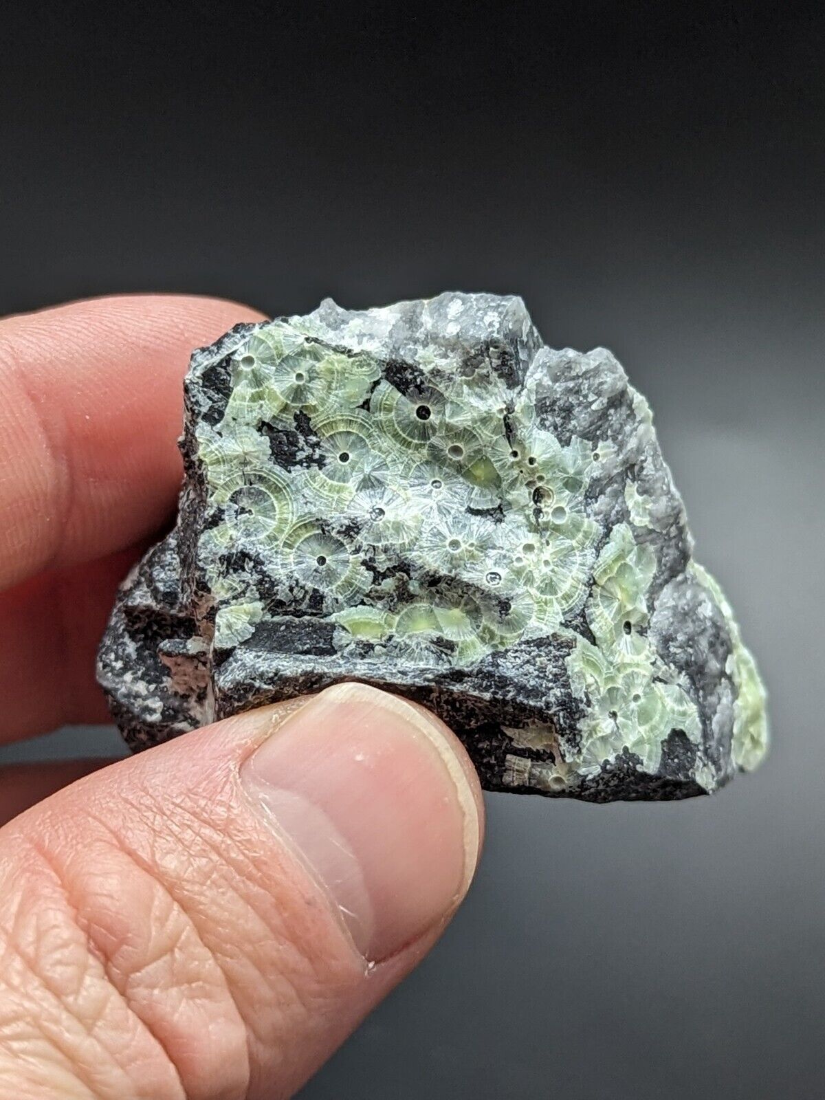 Amazing Wavellite - Fantastic Old Stock - Mauldin Mountain Arkansas ooak - Collectibles:Rocks Fossils &