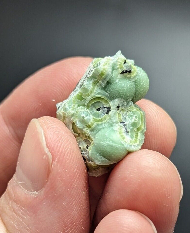 Amazing Wavellite - Fantastic Old Stock - Mauldin Mountain Arkansas ooak - Collectibles:Rocks Fossils &