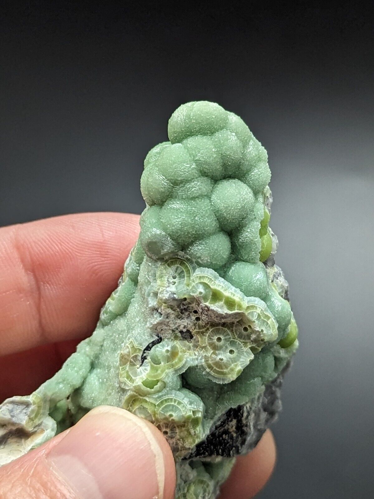 Amazing Wavellite - Fantastic Old Stock - Mauldin Mountain Arkansas ooak - Collectibles:Rocks Fossils &