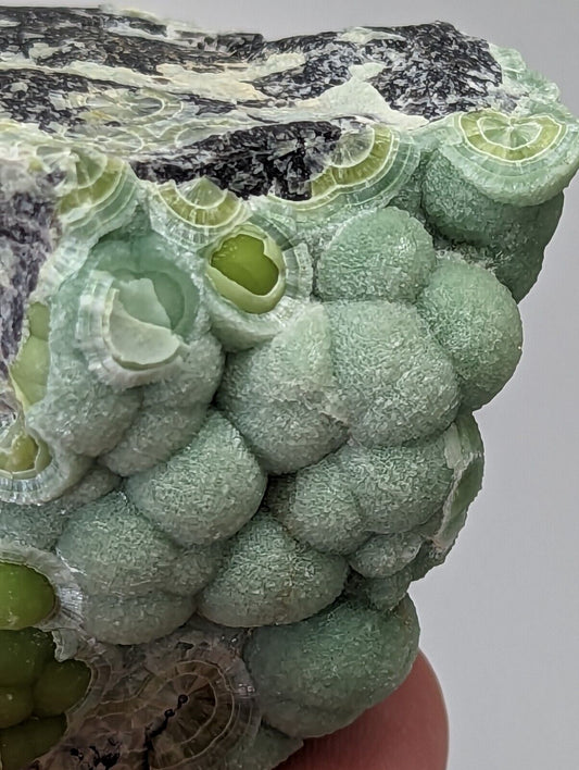 Amazing Wavellite - Fantastic Old Stock - Mauldin Mountain Arkansas - Collectibles:Rocks Fossils & Minerals:Crystals