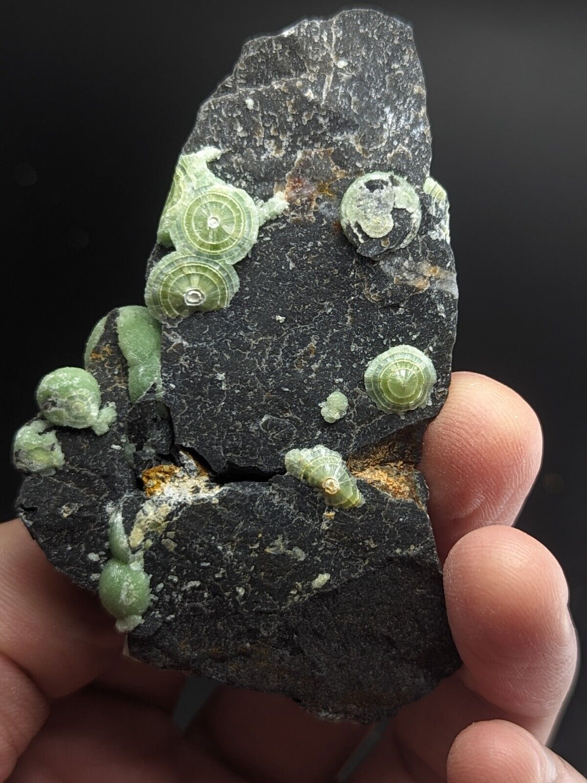 Amazing Wavellite - Fantastic Old Stock - Mauldin Mountain Arkansas ooak - Collectibles:Rocks Fossils &