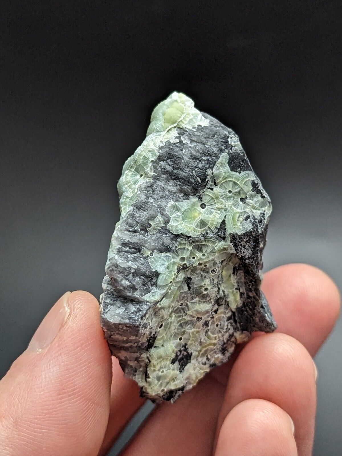 Amazing Wavellite - Fantastic Old Stock - Mauldin Mountain Arkansas ooak - Collectibles:Rocks Fossils &