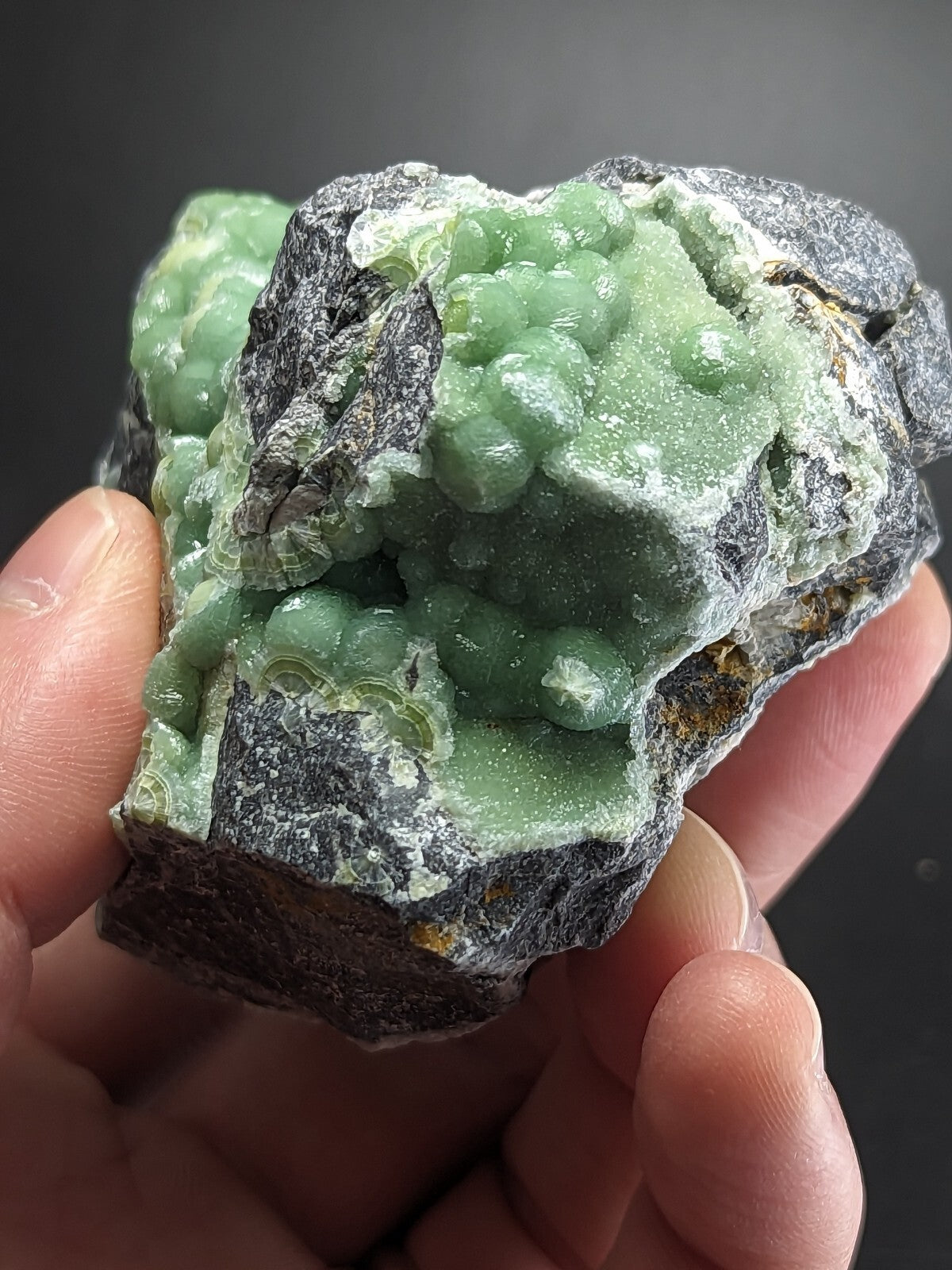 A hand holds a striking green mineral specimen featuring translucent, bead-like crystals growing from a dark gray rock matrix.