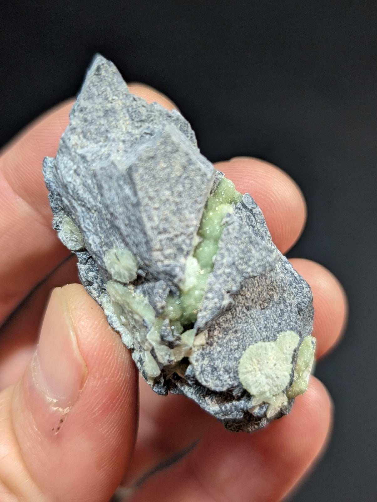 A hand holds a rough, gray rock specimen featuring embedded light green crystalline formations.