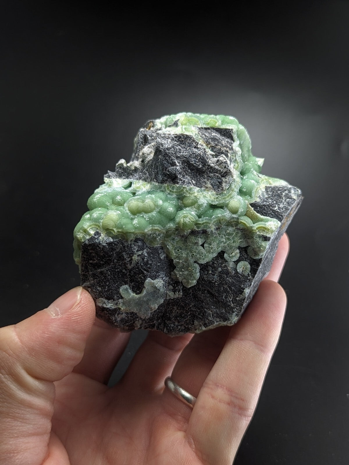 A hand holds a dark gray rock specimen featuring clusters of translucent, light green mineral formations.