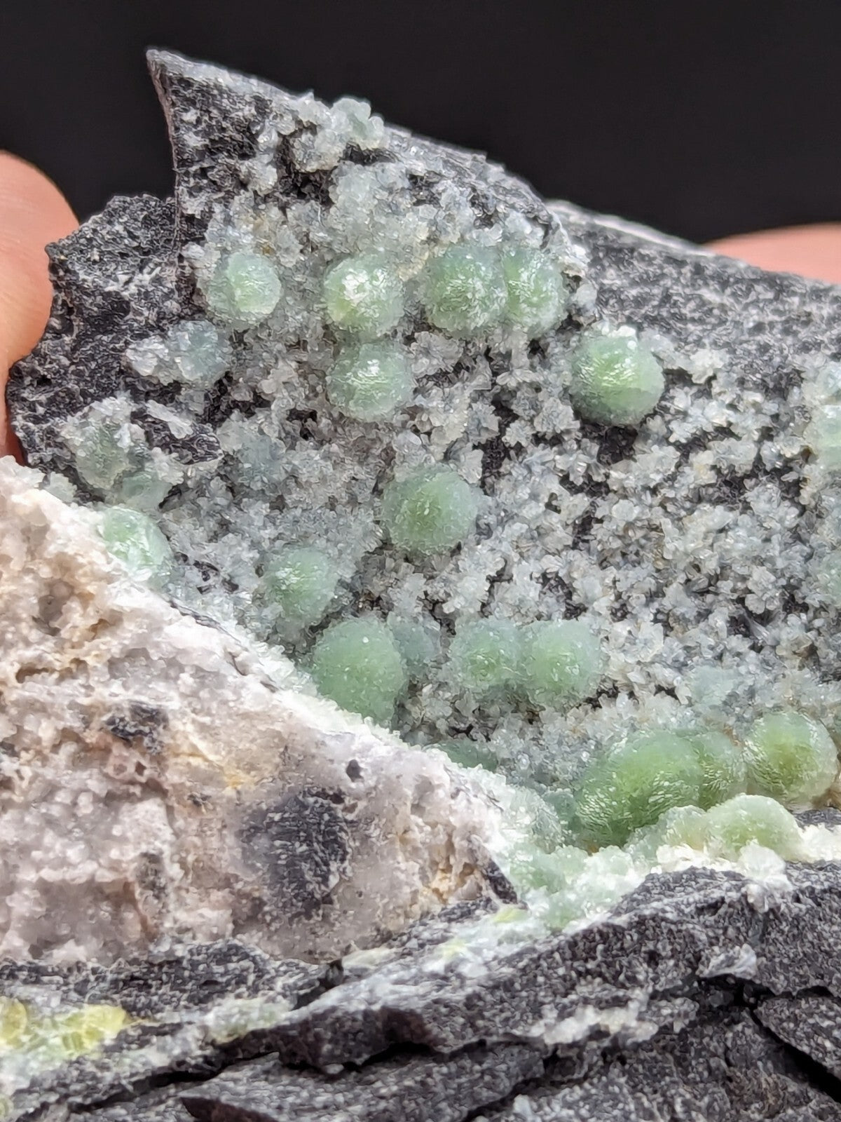 A cluster of translucent, light green spherical crystals growing from a dark gray rock matrix.