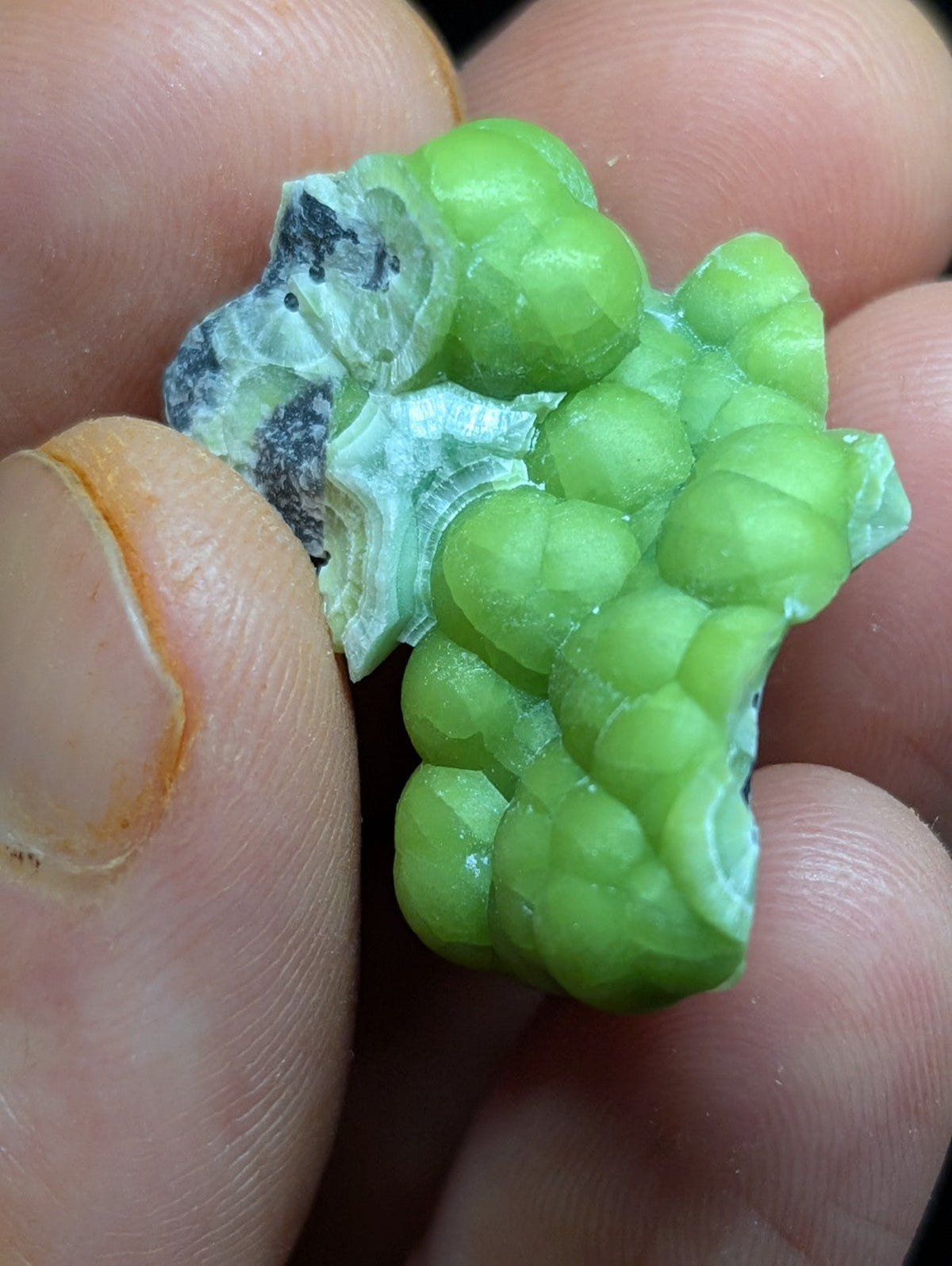 Vibrant green, bumpy mineral specimen with a translucent quality and contrasting dark veining.