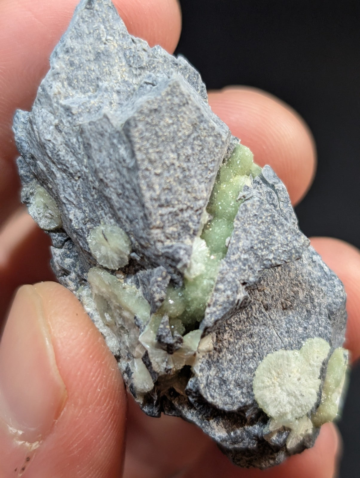 A hand holds a gray rock specimen featuring clusters of pale green, crystalline formations.