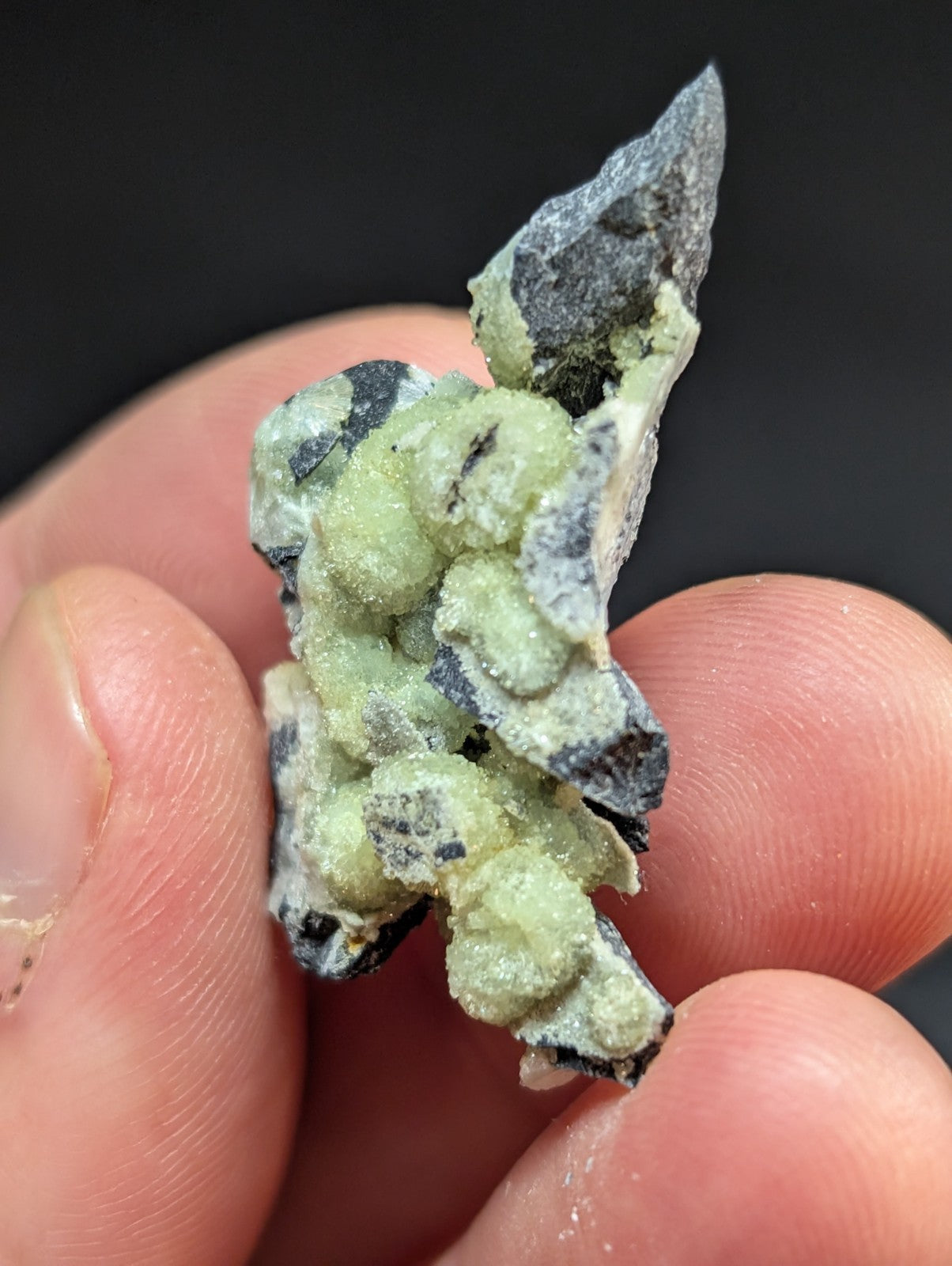 A cluster of pale green, crystalline mineral formations growing on a dark gray rock matrix.