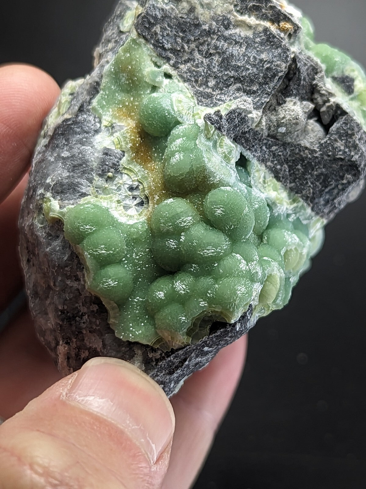 A hand holds a striking green mineral specimen featuring rounded, bubble-like formations against a dark gray rock matrix.