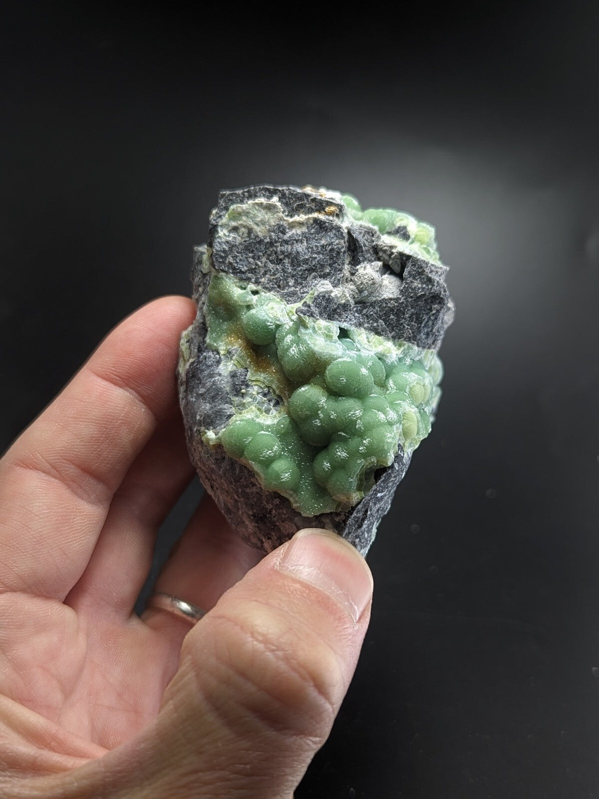 A hand holds a dark gray rock specimen featuring clusters of vibrant green, bead-like mineral formations.