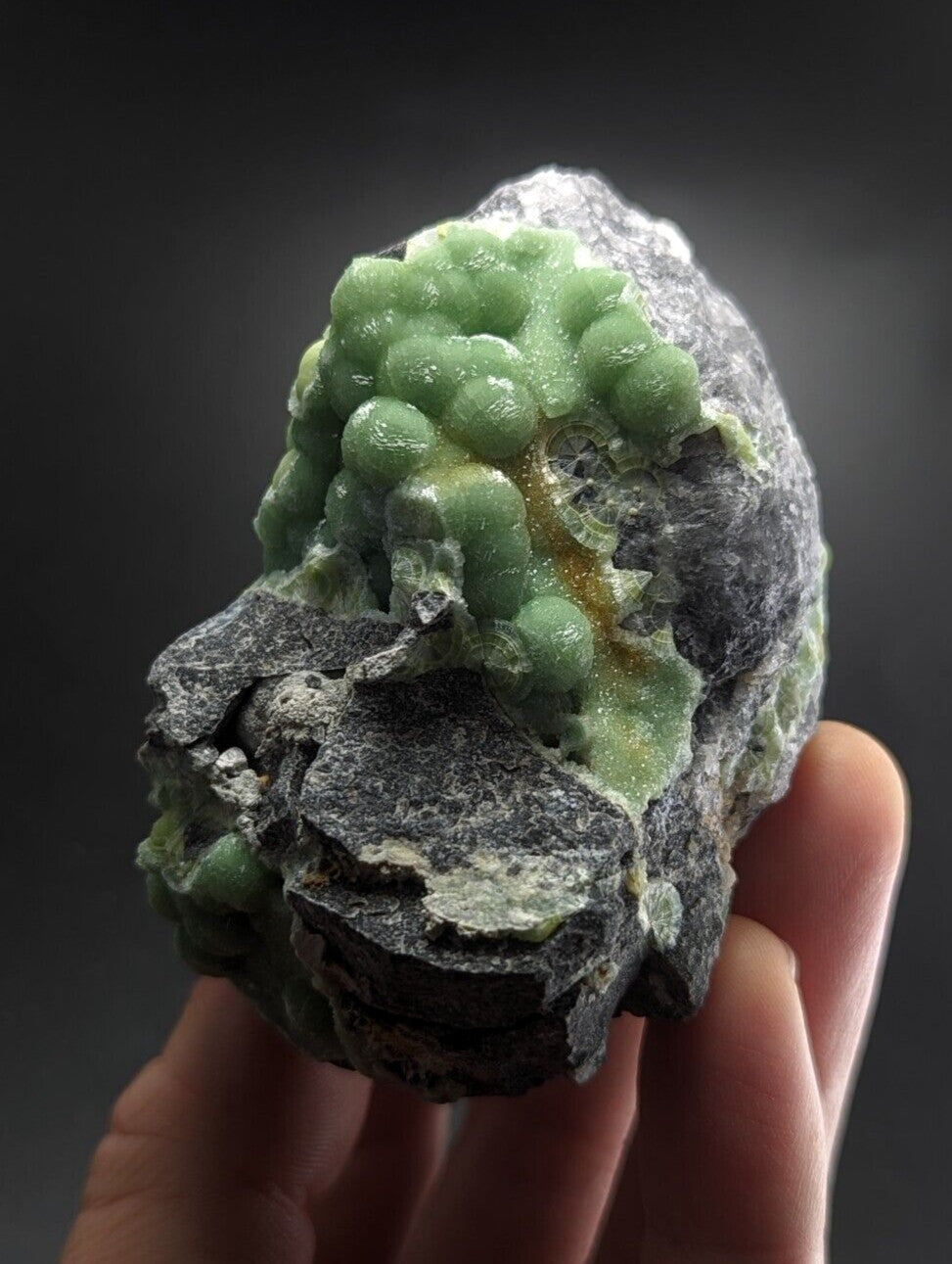 A hand holds a dark gray rock specimen featuring clusters of vibrant green, bead-like crystals.