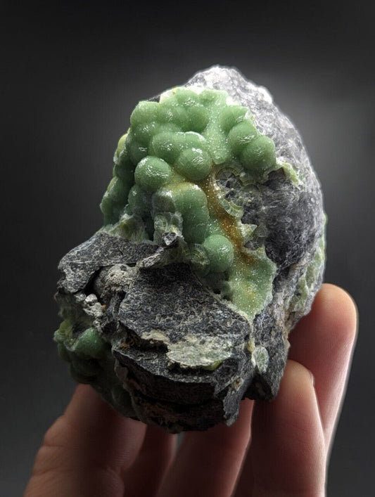 A hand holds a dark gray rock specimen featuring clusters of vibrant green, bead-like crystals.
