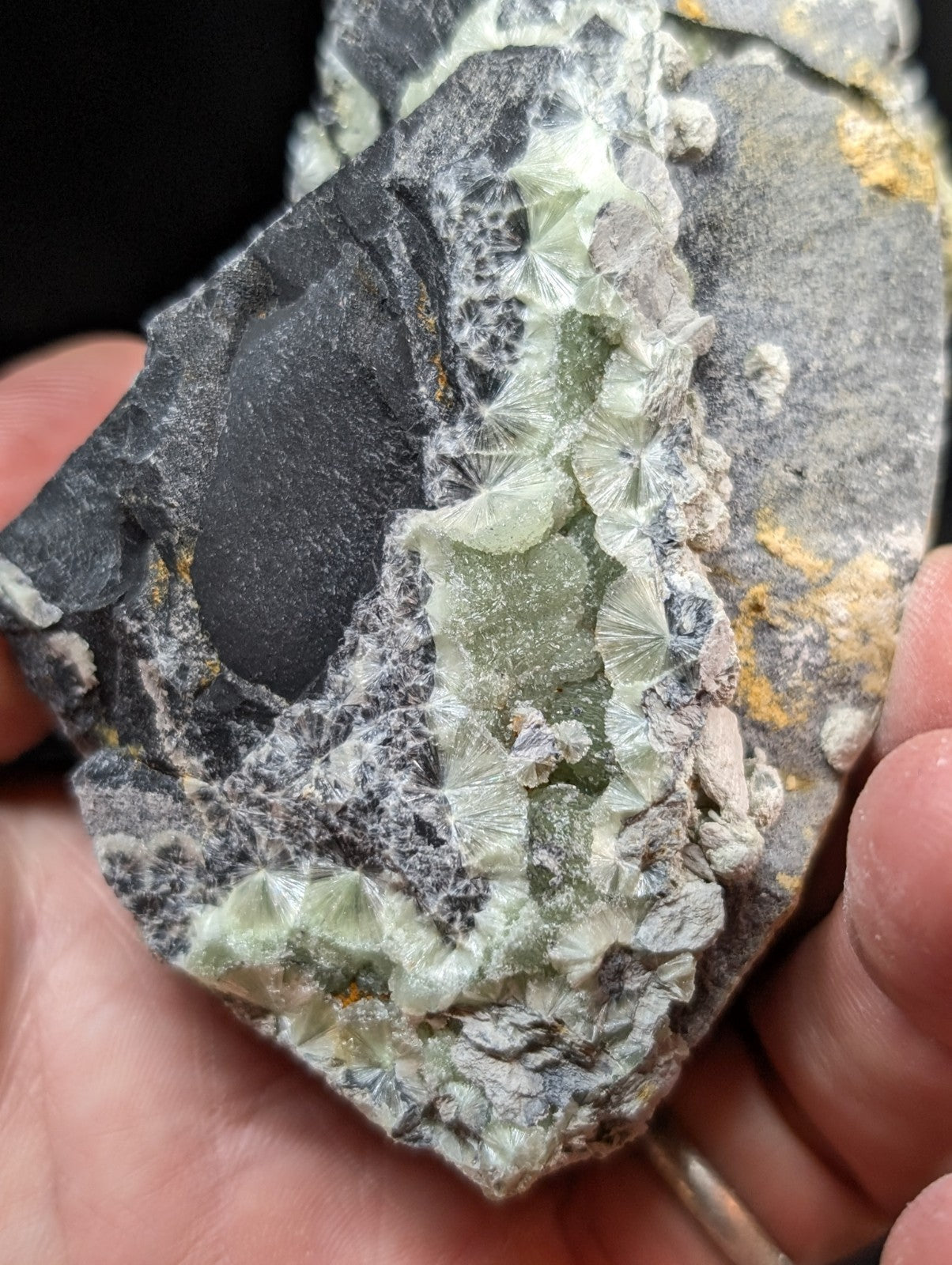 A hand holds a dark gray rock specimen featuring intricate, translucent green and white crystalline formations with delicate fan-like structures.