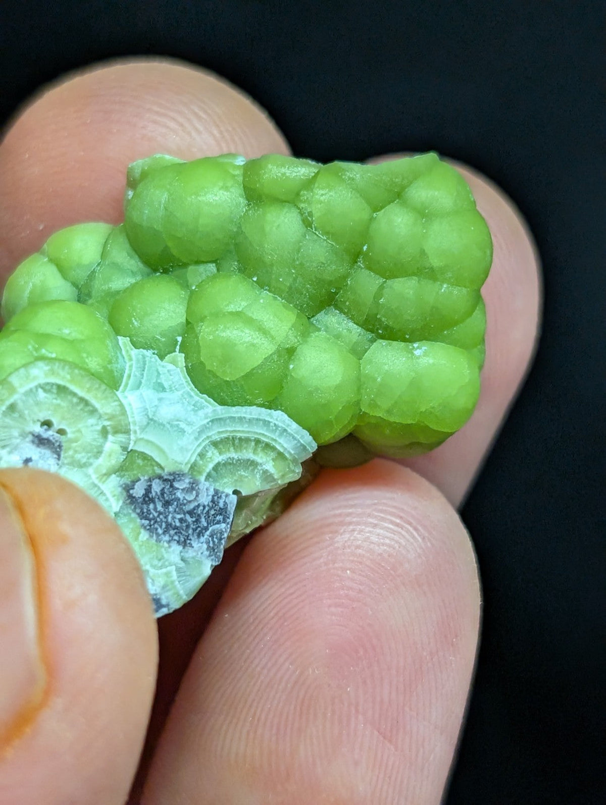 A vibrant green, bumpy mineral specimen with a translucent quality and layered white crystalline sections.