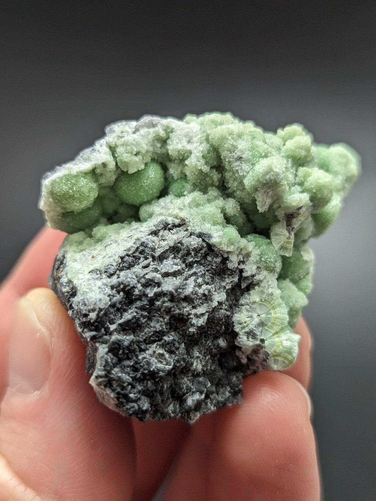 A hand holds a striking green and black mineral specimen featuring vibrant, rounded crystalline formations atop a rougher, dark matrix.